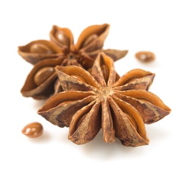 Anason star beyaz zemin üzerine