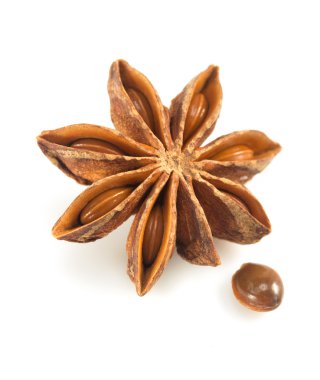 Anason star beyaz zemin üzerine