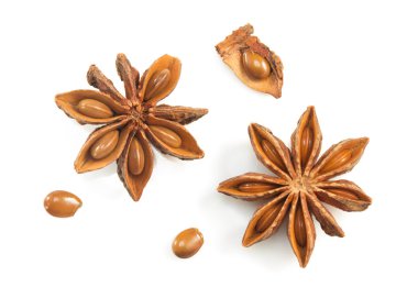 Anason star beyaz zemin üzerine