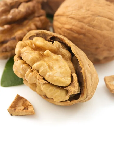 Walnuts on white background — Stock Photo, Image