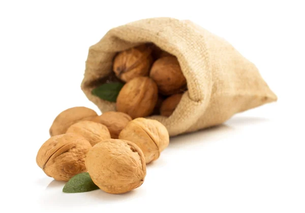 Walnuts in bag on white background — Stock Photo, Image