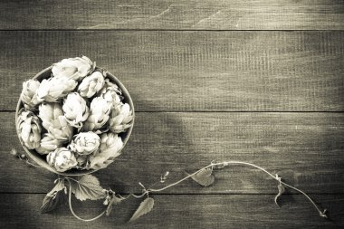 Ahşap üzerine hop koniler