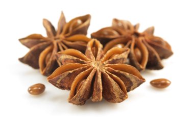 Anason star beyaz zemin üzerine