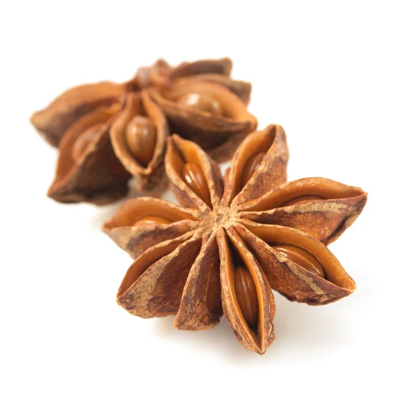 Anise star on white background — Stock Photo, Image