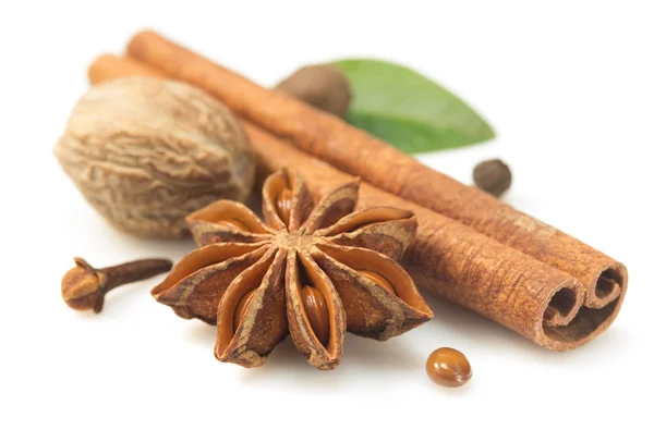Cinnamon sticks, anise star and other spices — Stock Photo, Image