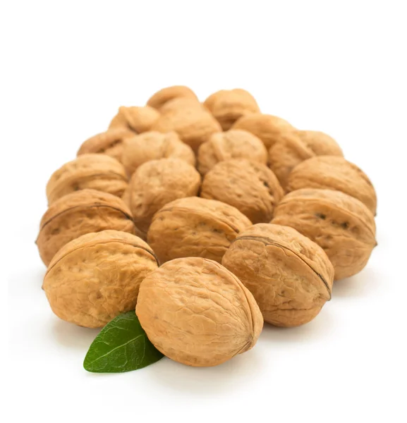 Walnuts on white background — Stock Photo, Image