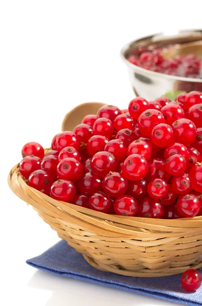 Red currants on white — Stock Photo, Image