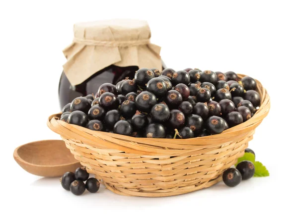 Black currants on white — Stock Photo, Image