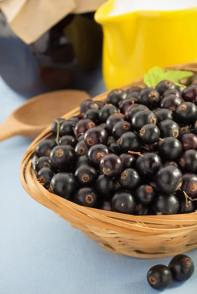 Black currants in bowl — Stock Photo, Image