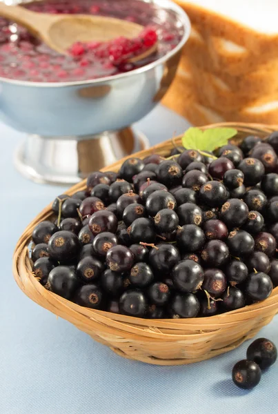 Black currants in bowl — Stock Photo, Image