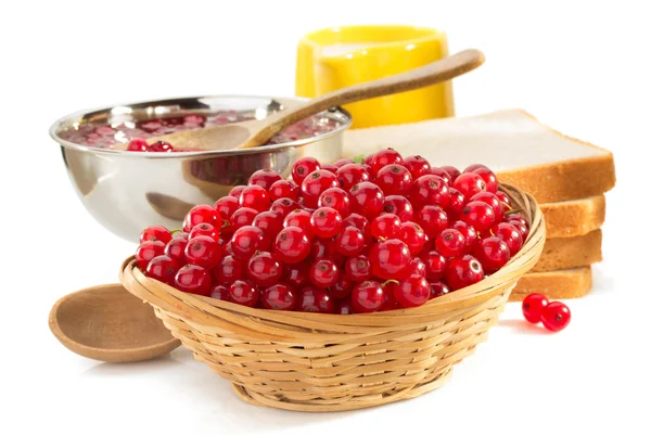 Red currants — Stock Photo, Image