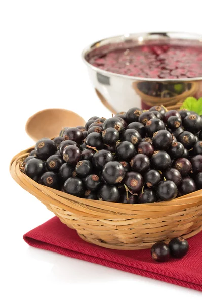 Black currants — Stock Photo, Image