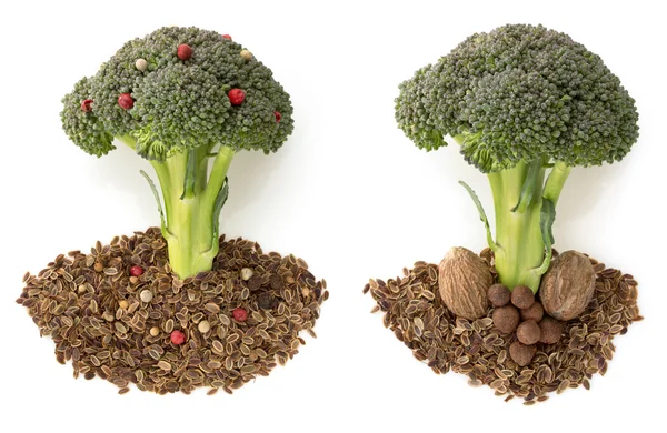 Broccoli and spices — Stock Photo, Image