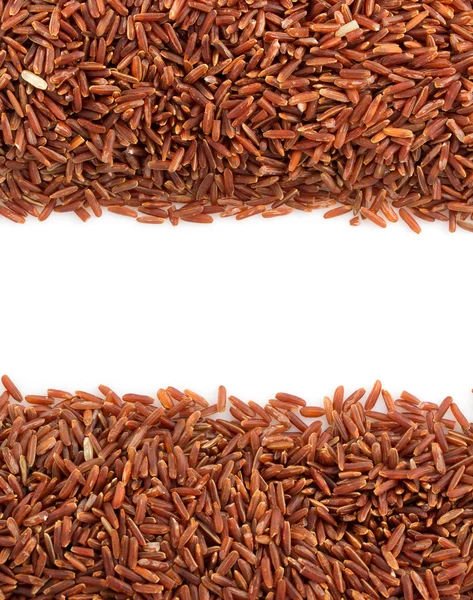 Rice grain — Stock Photo, Image