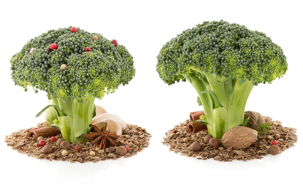 Broccoli and spices — Stock Photo, Image