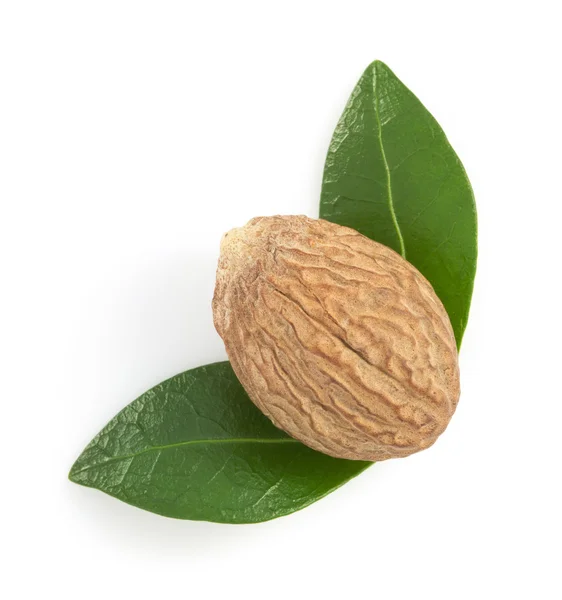 Nutmeg on white — Stock Photo, Image