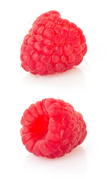 Raspberry  on white — Stock Photo, Image