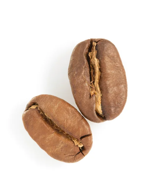 Coffee beans — Stock Photo, Image