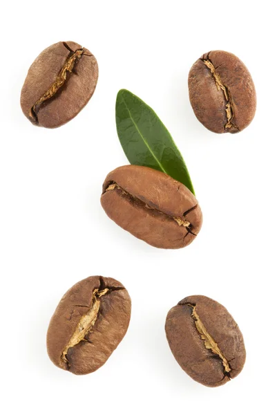 Coffee beans — Stock Photo, Image