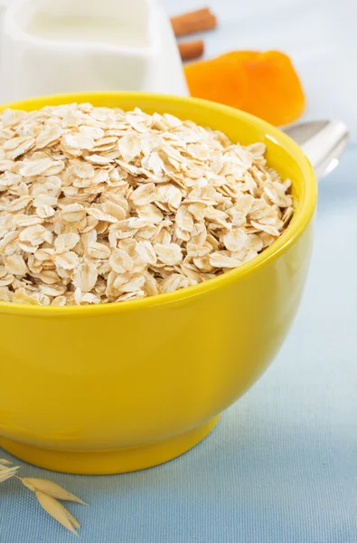 Oat flake — Stock Photo, Image