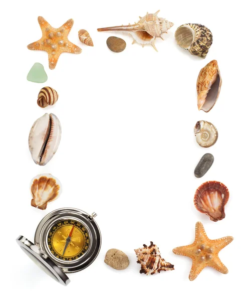 Concepto de concha marina y mar —  Fotos de Stock