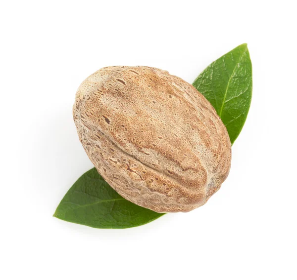 Nutmeg on white — Stock Photo, Image