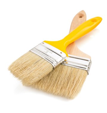 beyaz zemin üzerine boya fırçası