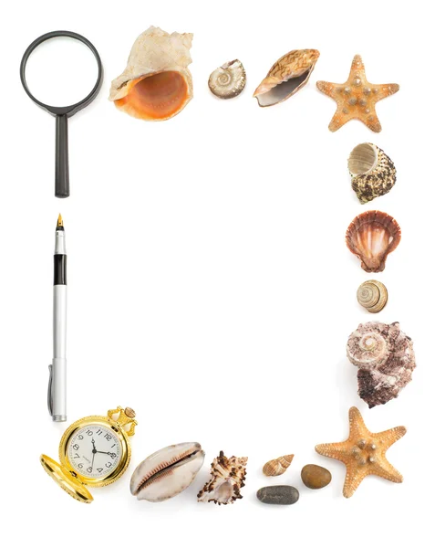 Seashell and sea concept on white — Stock Photo, Image