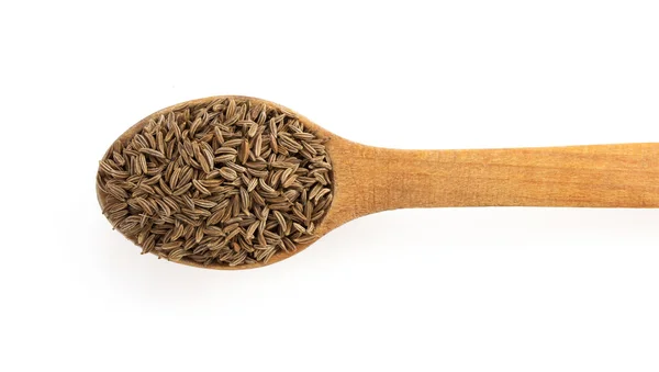 Graines de cumin dans la cuillère — Photo