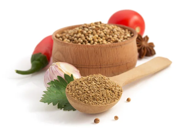 Coriander spices in spoon — Stock Photo, Image