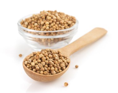 kaşığı kişniş baharat