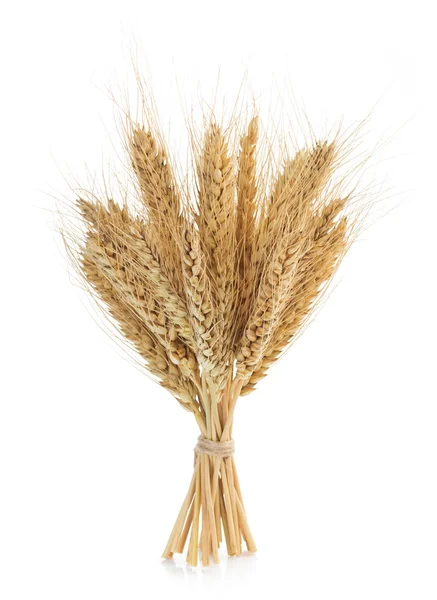 Ears of natural wheat — Stock Photo, Image