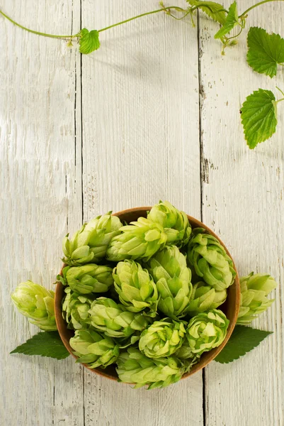 Cones de salto na tigela — Fotografia de Stock