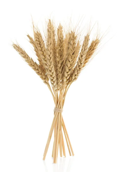 Spighe di grano naturale — Foto Stock