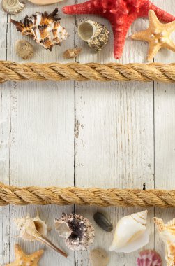 Deniz kabuklarını ve gemi halatı