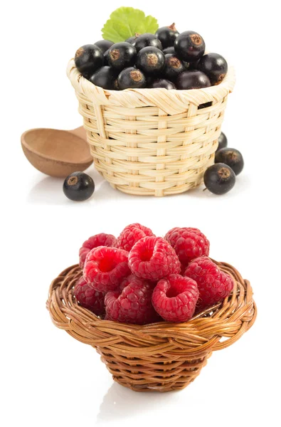 Raspberries and currants berries in baskets — Stock Photo, Image