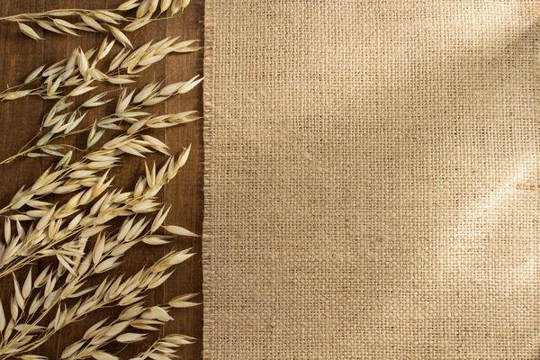 耳朵的燕麦和床单布 — 图库照片