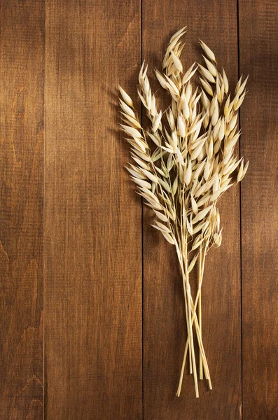 Primo piano delle orecchie di avena — Foto Stock