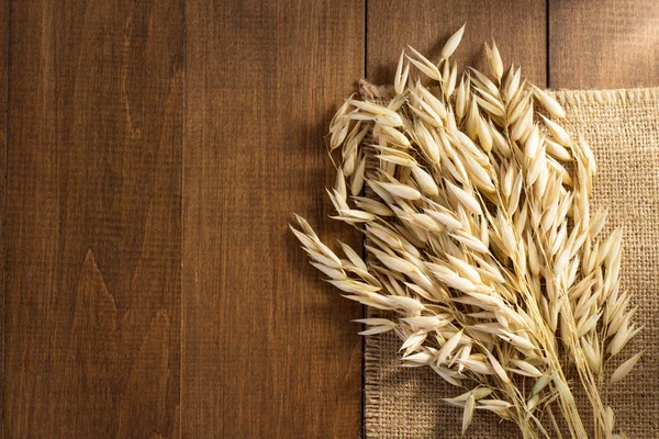 Primo piano delle orecchie di avena — Foto Stock