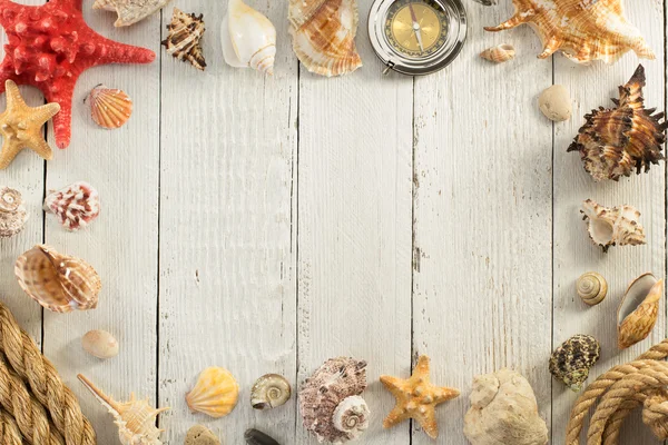 Seashell on wooden background — Stock Photo, Image