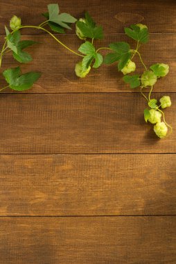 Ahşap üzerine hop koniler