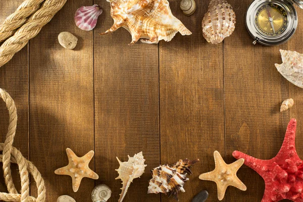 Seashell on wooden background — Stock Photo, Image