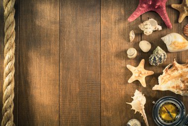 Seashell ahşap arka plan üzerinde