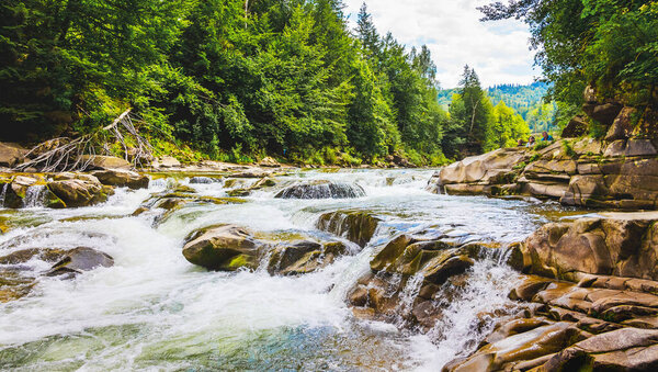 Mountain river with small waterfalls. Landscape with mountain river and trees, Yaremche, Ukraine