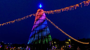 Yılbaşı ve yılbaşı ağacı gece renkli ışıklarla süslenmiş.