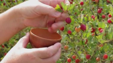 Elinde kahve tutan bir kadın.