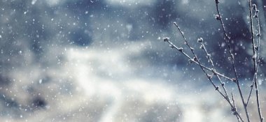 Sağ köşesinde kar yağışı ve bulanık bir kış manzarası, soğuk atmosferik bileşimi olan ince ağaç dalları ve buz gibi tomurcuklar var.