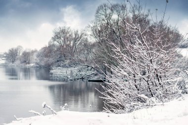 Sakin nehir veya göl kıyısında karla kaplı ağaçlarla kaplı kış manzarası