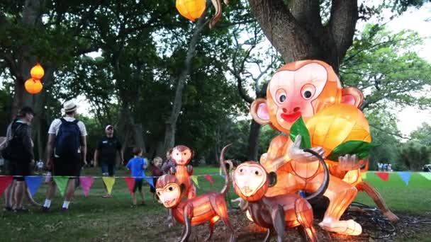 Kinesiska apor lyktor i Auckland Lantern Festival — Stockvideo