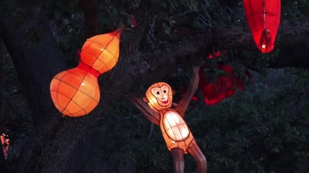 Auckland Mar 2016 Visiteurs Auckland Lantern Festival Est Grand Festival — Video